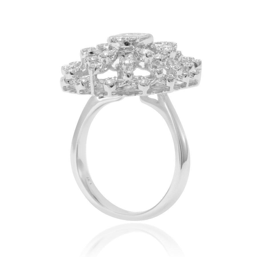 Anillo Regina